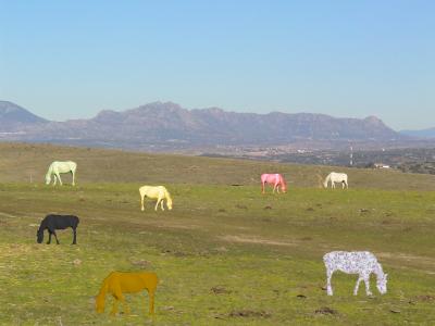 20100317120015-paisaje-con-caballos6.jpg